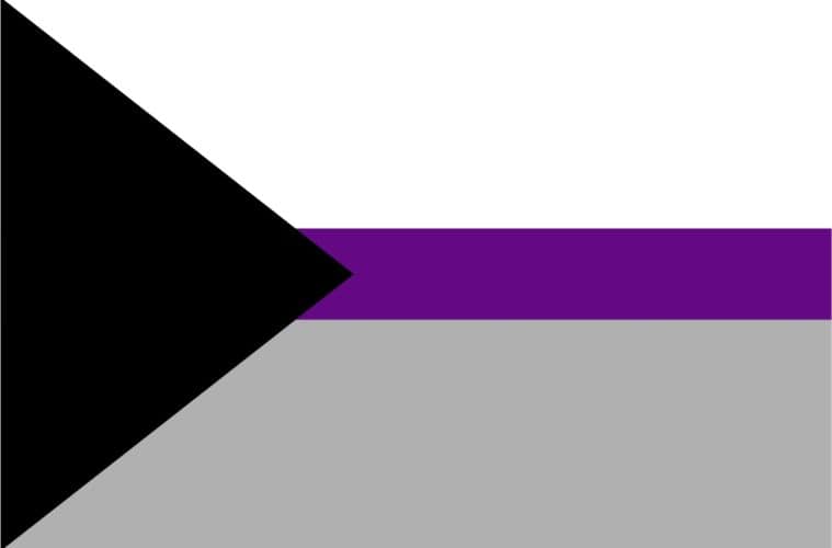 demisexual flag