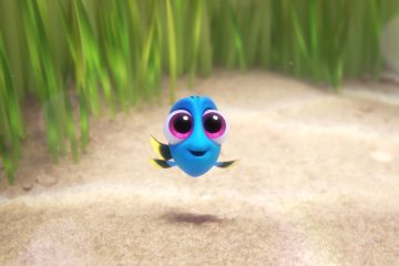 Baby dory from Finding Dory