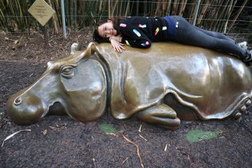 harriet and the hippo