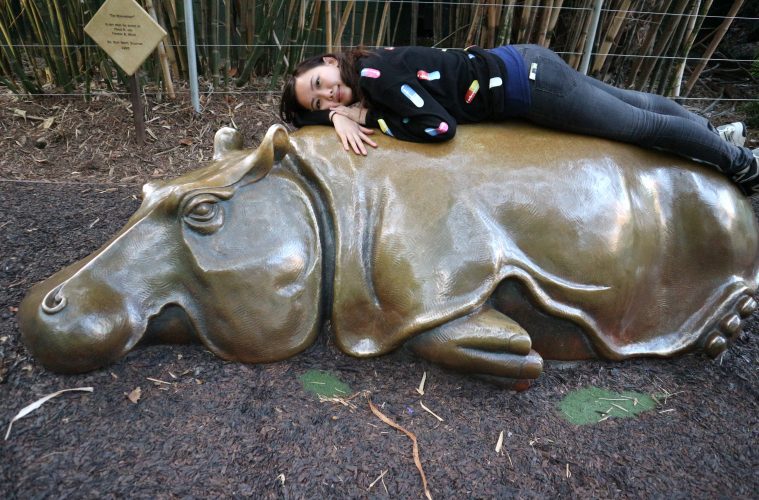 harriet and the hippo