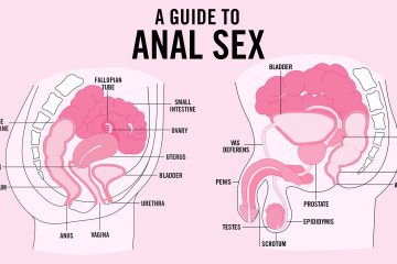 TeenVogue Anal sex guide diagram by Corinna Bourke