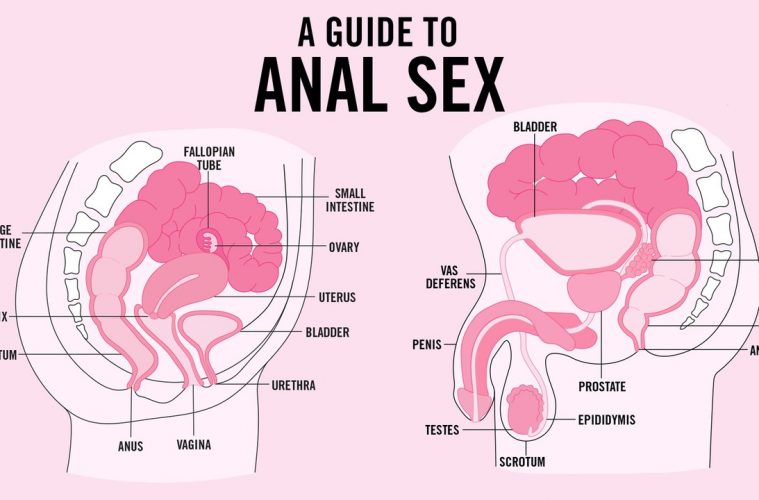 TeenVogue Anal sex guide diagram by Corinna Bourke